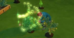 The Sims 4 Gardening Skill Plant