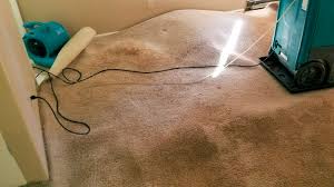 Flood Cleanup And Carpet Cleaning Tips