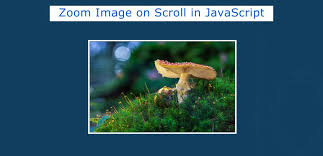 to zoom image on scroll using javascript