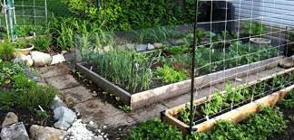 The Abun Vegetable Garden Urban