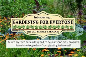 Where To Put A Vegetable Garden 7