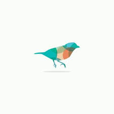 Bird Logo Vector Design Birds Lover