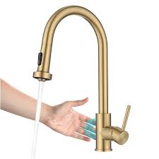 Bolden Touchless Sensor Kitchen Faucet
