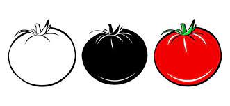Tomato Vector Art Icons And Graphics