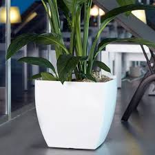 Plastic White Flower Pots For Planting