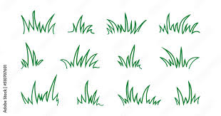 Grass Bush Line Icon Shrubbery Vector