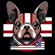 Bulldog Patriotism A Flagthemed Icon