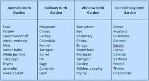 Introduction To Planning A Herb Garden