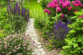 Annual Flowers 4 Tips To Grow A