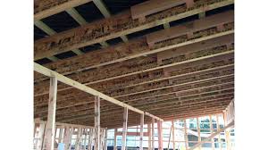 nz wood s i beams for long spanning