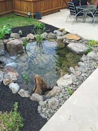 Backyard Fish Pond Installation