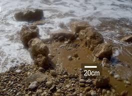 Oldest Known Seawall Discovered Along