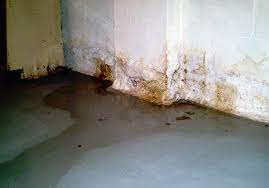 How Wet Basement Repair Contributes To