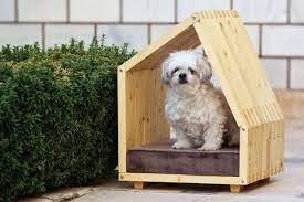 Cozy Dog Homes For Indoors And Outdoors
