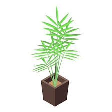 Office Palm Tree Pot Icon Isometric