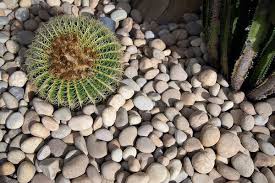 Use Pebbles For Ground Cover