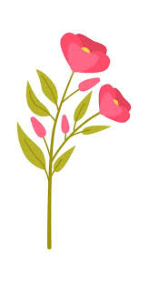 Beautiful Pink Rose Flat Icon Spring