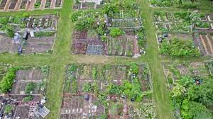 Urban Farm Aerial View Growing And