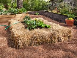 15 Easy Diy Raised Bed Gardens