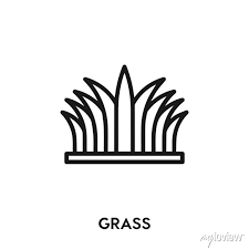 Grass Vector Icon Grass Sign Symbol