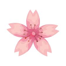 Pink Flower Garden Plant Decoration