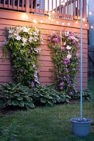 How To Hang Outdoor String Lights