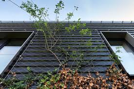 Webnet Facade Greening Jakob Rope Systems