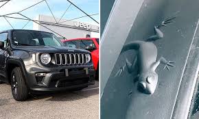 Jeep Easter Egg Animals Jeep Owners