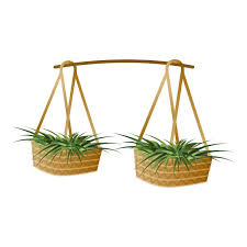 Asian Seed Plant Basket Icon Cartoon Of