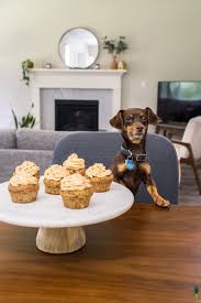 Easy Dog Birthday Cupcakes Vegan