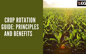 Crop Rotation Guide Principles And