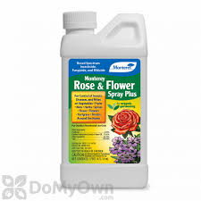 Monterey Rose And Flower Spray Plus