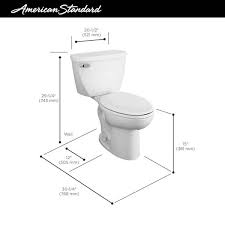1 1 Gpf Single Flush Elongated Toilet