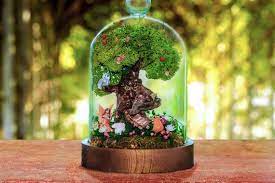 Fairy Garden Kit With Glass Dome