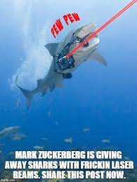 mark zuckerberg sharks with laser
