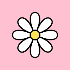 Chamomile Icon White Daisy Symbol With