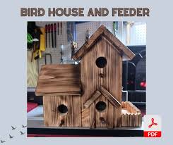 Birdhouses Kids