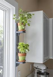 Simple Indoor Herb Shelf Kitchen