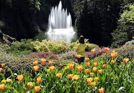 World Renowned Butchart Gardens On