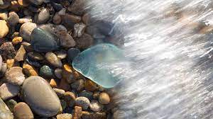 Collecting Beach Glass In Southwest