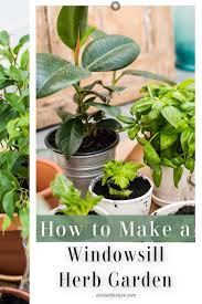 Windowsill Herb Garden Diy