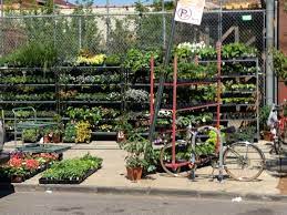 Chelsea Garden Center Brownstoner