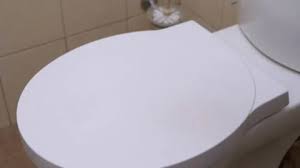 Paper Towel Roll Stock Footage