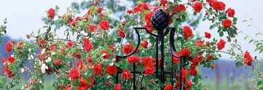 Garden Obelisks Superior Steel