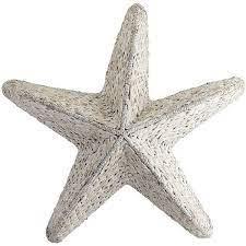 Pier 1 Imports Starfish Seagrass Wall
