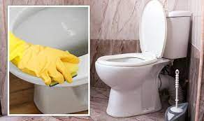 Remove Stains From Toilet Seats