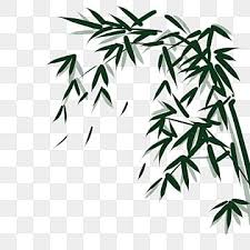 Chinese Bamboo Png Transpa Images