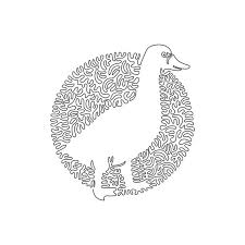Single Curly Line Drawings Of Ducks Are