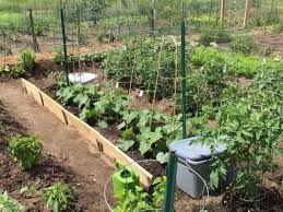 Community Gardens Brooklyn Park