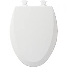 1500cc Bemis Toilet Seat
